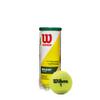 WILSON Championship Tennis Balls - Regular Duty, Single Can (3 Balls) view 1