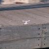 Dock Edge + Classic Cast Aluminum InstaCleat with White Finish, 5 view 3