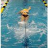 NZ Manufacturing StretchCordz Long Belt Slider Swim Resistance Belt Red 12-31 Lbs view 2