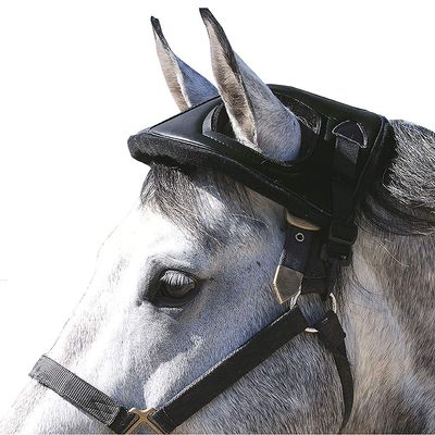 Cashel Horse Helmet Black (HH-BLA), One Size