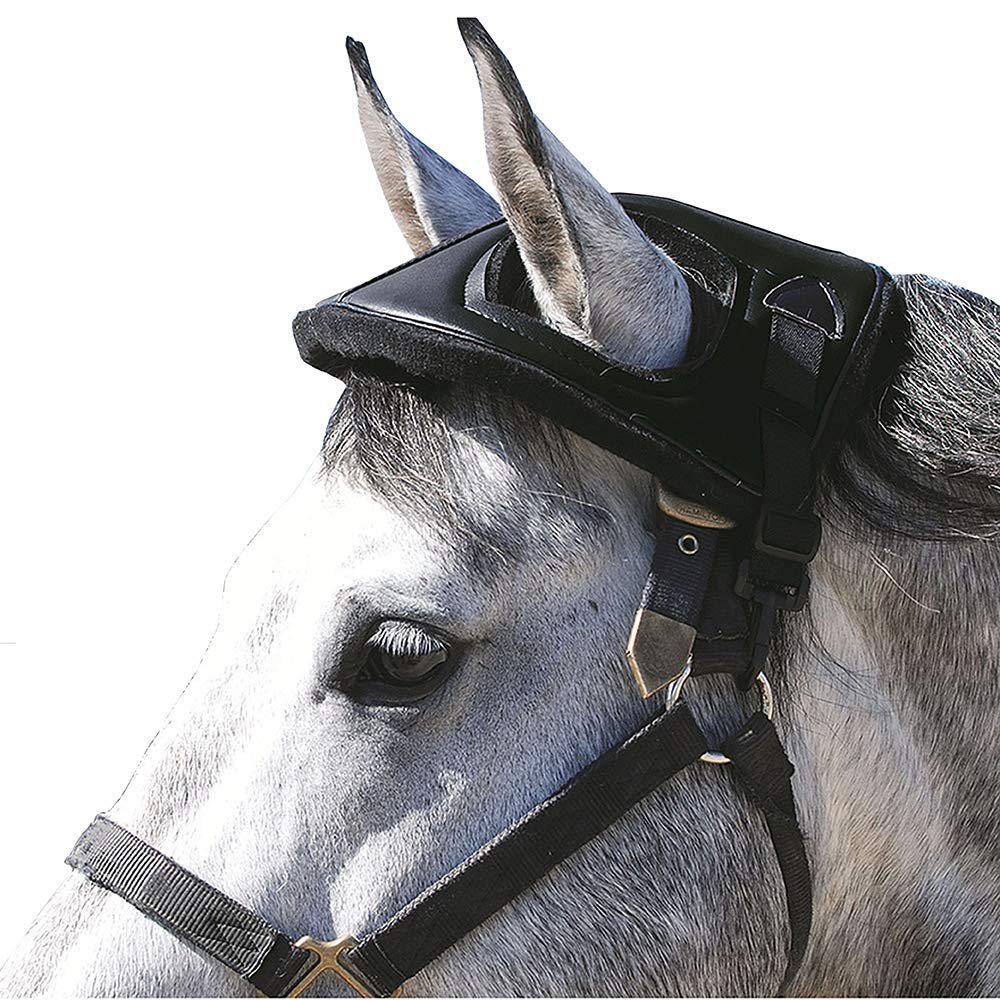 Cashel Horse Helmet Black (HH-BLA), One Size