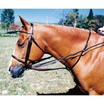 Tory Premium Leather German Martingale Dark Oil