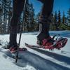 Crescent Moon All Terrian Unisex Snowshoe - Sawtooth 27 (Blue): Unisex All Terrain Snowshoe with Award Winning Single Loop Pull Binding, Stainless Steel Crampons and Heel Lifts view 2