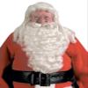 Santa Wig and Beard Set White view 1