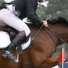 Intrepid International Equestrian Jump Bat view 2