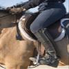 Intrepid International Equestrian Jump Bat view 3