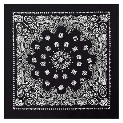 Rothco 4143: Trainmen Paisley Bandana - 22" X 22"