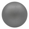 Champion Sports Iron Shot Put, 16-Pound view 1