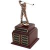 SHOP AWARDS AND GIFTS Perpetual Male Golf Trophy view 2