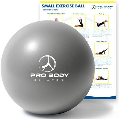 ProBody Pilates Small Exercise Ball - 9 Inch Workout Ball for Stability, Barre, Yoga, Core & Physical Therapy, Home Gym & Office Use (Silver)