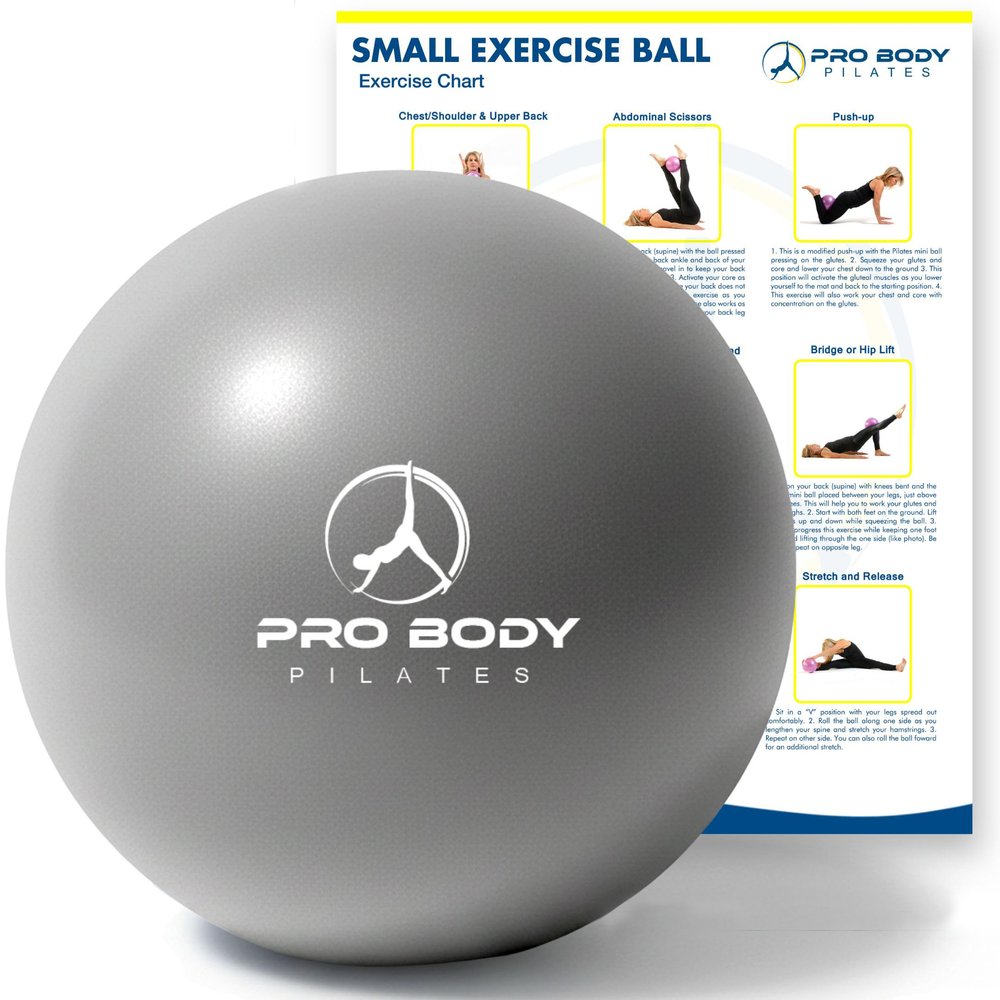 ProBody Pilates Small Exercise Ball - 9 Inch Workout Ball for Stability, Barre, Yoga, Core & Physical Therapy, Home Gym & Office Use (Silver)