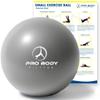 ProBody Pilates Small Exercise Ball - 9 Inch Workout Ball for Stability, Barre, Yoga, Core & Physical Therapy, Home Gym & Office Use (Silver) view 1