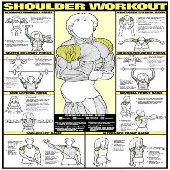ALGRA Co-ed Shoulder Workout 24 X 36 Laminated Chart