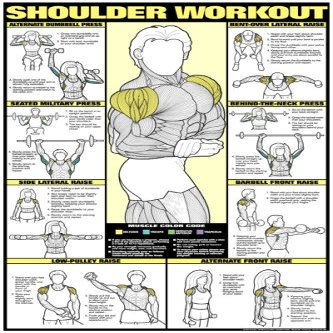 ALGRA Co-ed Shoulder Workout 24 X 36 Laminated Chart