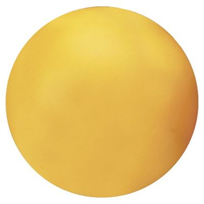 Gill Athletics 16 lb Hardshell Indoor Shot