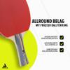 JOOLA Team School Table Tennis Set  4 Paddles, 8 Balls & Carry Bag for Indoor/Outdoor Play view 3