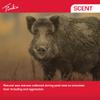 TINK'S Synthetic Power Pig Attractant Liquid Sow-in-Heat Boar Urine Scent for Hunting (4 oz)  Long Lasting Sow-in-Heat Boar Urine Hunting Scents  Hunting Lure/Attractant  Advanced Hog Lure view 3