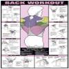 Back Workout 24" X 36" Laminated view 1