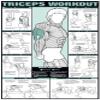 ALGRA Triceps Workout 24" X 36" Laminated Chart view 1