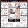 ALGRA Co-ed Biceps & Forearm Workout 24 X 36 Laminated Chart view 1