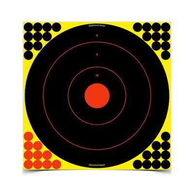 Birchwood Casey 17.25'' Shoot-N-C Bull's-Eye Practice Target, 100 Targets, 4000 Pasters