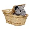 Rubies The Wizard of Oz: Toto in a Basket Costume Accessory for Kids or Adults, Unisex No Size view 1