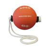 Ader Sporting Goods 4kg (9 Lb) Power Rope Medicine Ball view 1