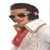 Rubies Elvis Presley: Elvis Presley Sunglasses with Attached Sideburns for Adults, Men's No Size view 2
