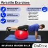 CanDo Inflatable Exercise Ball - Blue 41.3", Durable Extra Thick Non-Slip Stability Ball for Core Workouts, Yoga, Pilates, Active Seating, Physical Therapy, Pregnancy, Home Gym, Flexibility view 2