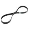 TreadLife Fitness Replacement Elliptical Drive Belt | Compatible with Nordictrack, Proform, Epic | Part #201296 view 1
