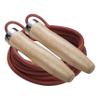 Champion Sports Leather Ball Bearing Jump Rope - Multiple Sizes , 9-Feet view 1