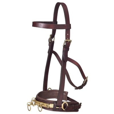 Tough 1 Leather Lunging Caveson