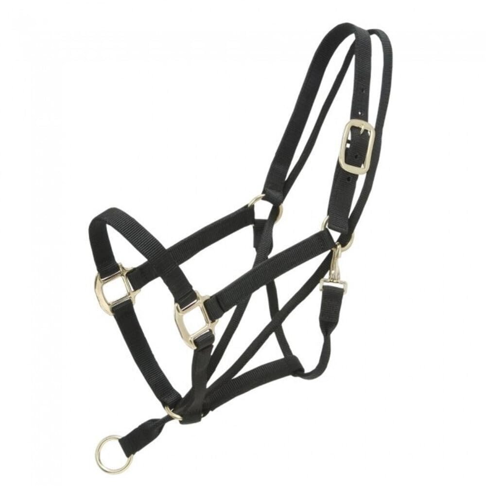 Tough 1 Pull-Back Halter Horse Black