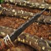 12.5" Long hand forged Damascus steel Hunting Bowie Knife, sliced Red Wood With engraved Brass cap and finger guard, Cow hide Leather sheath (Brown) view 3