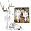 Skull Master by Illusion | White | European Mount | Antler Mounting Kit | Euro Mount | 3D Modeled Replica Deer Skull | Taxidermy | Compatible with Harvested and Shed Antlers | Universal Sizing view 1
