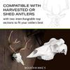 Skull Master by Illusion | White | European Mount | Antler Mounting Kit | Euro Mount | 3D Modeled Replica Deer Skull | Taxidermy | Compatible with Harvested and Shed Antlers | Universal Sizing view 2