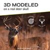 Skull Master by Illusion | White | European Mount | Antler Mounting Kit | Euro Mount | 3D Modeled Replica Deer Skull | Taxidermy | Compatible with Harvested and Shed Antlers | Universal Sizing view 3