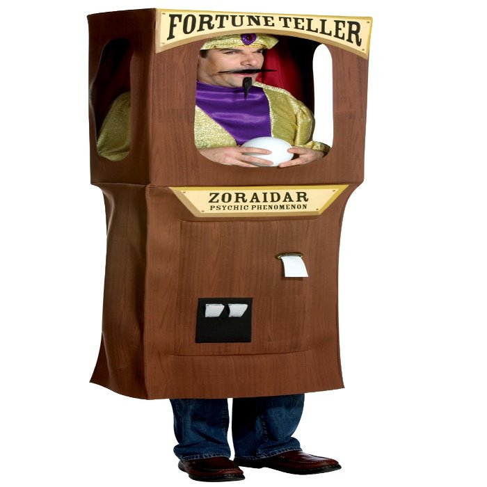 Fortune Teller Funny Costume - Adult Std.