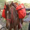 TrailMax Over-The-Saddle Pack Pannier Bags; Panniers Fit Most Western & Endurance Riding Saddles; Ideal for Hunting Camp & Packing Gear; Durable; Brown view 2