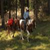 TrailMax Over-The-Saddle Pack Pannier Bags; Panniers Fit Most Western & Endurance Riding Saddles; Ideal for Hunting Camp & Packing Gear; Durable; Brown view 4