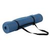 EcoWise Flat Mat, Pilates or Yoga Exercise Mat, Home Gym Studio, Blue view 1