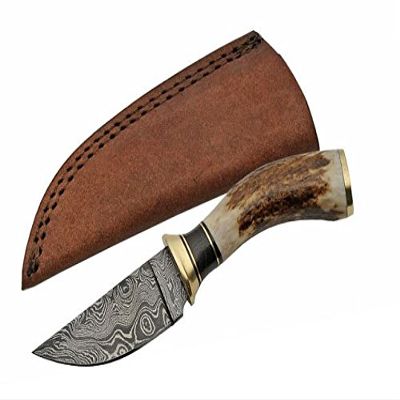 7.25" STAG Skinner