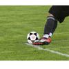 Mikasa D93 Indoor Series Soccer Ball view 2