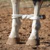 Martin Saddlery Classic Button Rope Hobble view 2