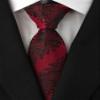 Adulove Men's Necktie Classic Silk Tie Woven Jacquard Neck Ties 6 PCS view 4