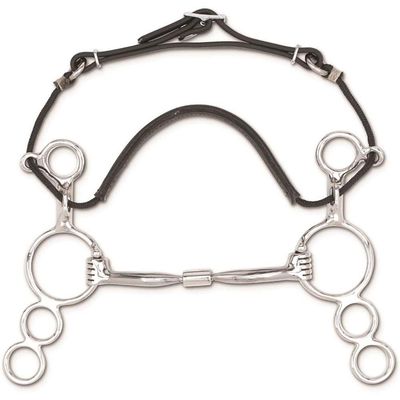 Myler 01 Three Ring Combination Bit (5-Inch)