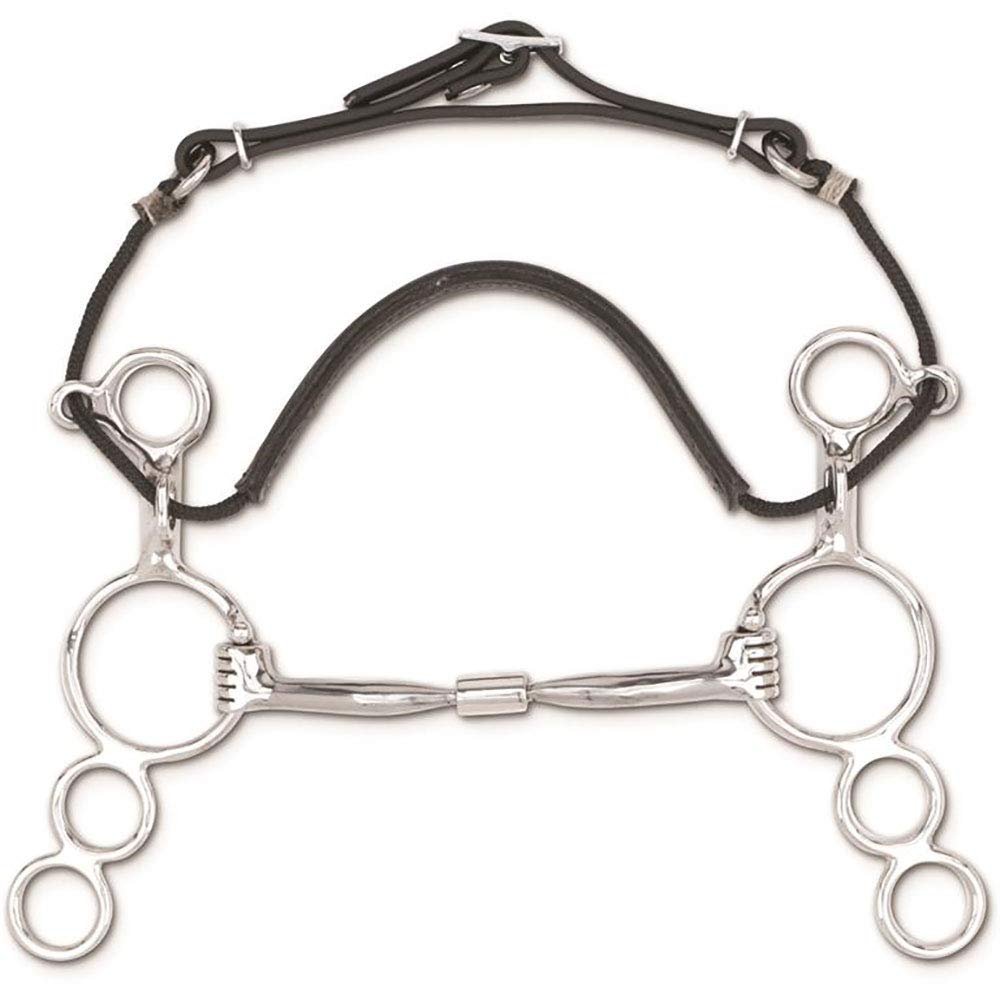 Myler 01 Three Ring Combination Bit (5-Inch)