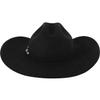 Stetson Apache 4X Buffalo Felt Cowboy Hat Black view 4