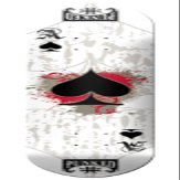 ACE of Spades Graphic Skateboard Decks, White Ace of Spades, 8"