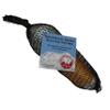 Best Glide ASE Adventurer Survival Gill Net view 1
